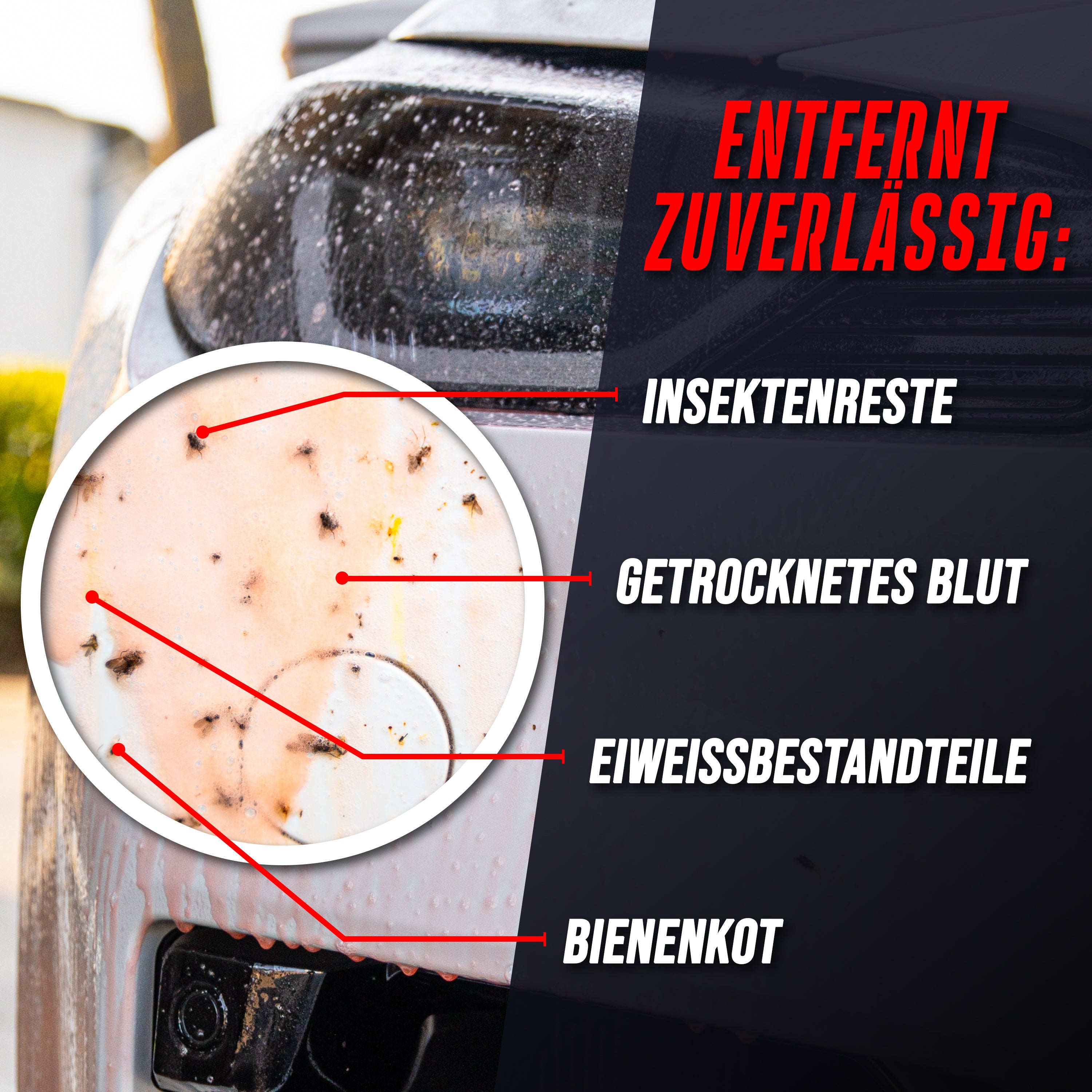 ShinyChiefs Vielverbraucher-Kit