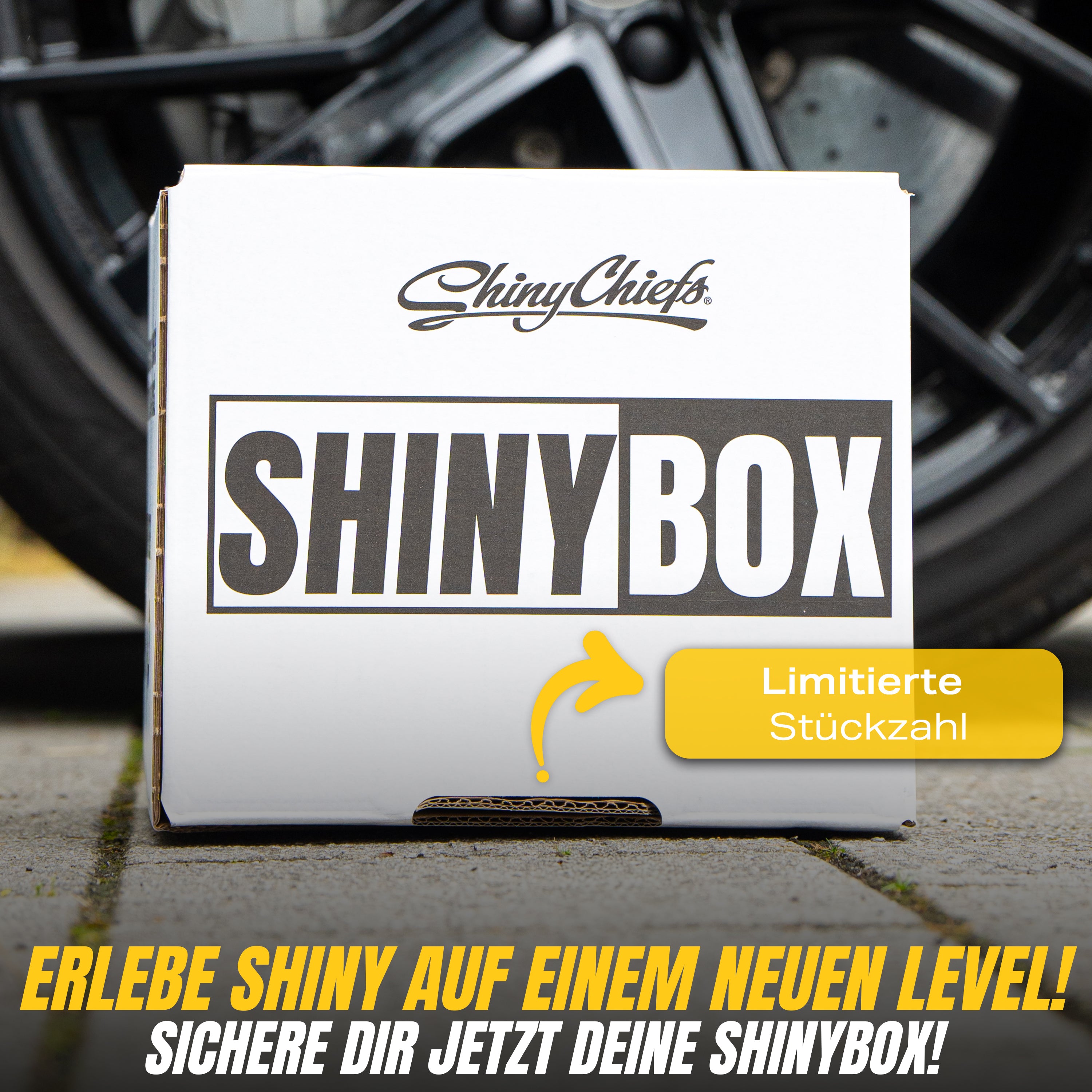 SHINYBOX - Wähle aus 3 Varianten