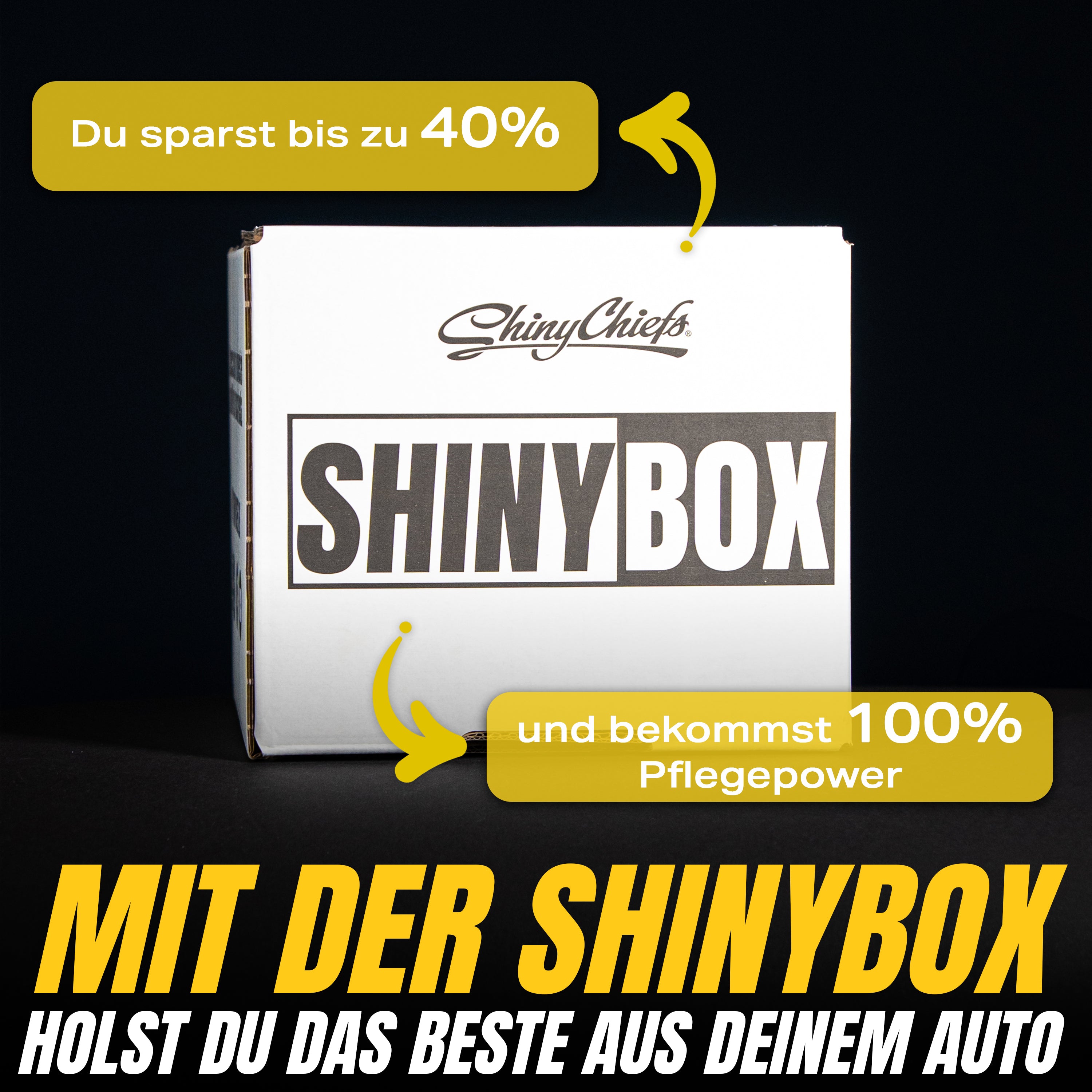 SHINYBOX - Wähle aus 3 Varianten