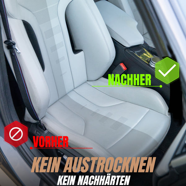 LEDER CLEAN - LEDERREINIGER + SCRUB PAD SET