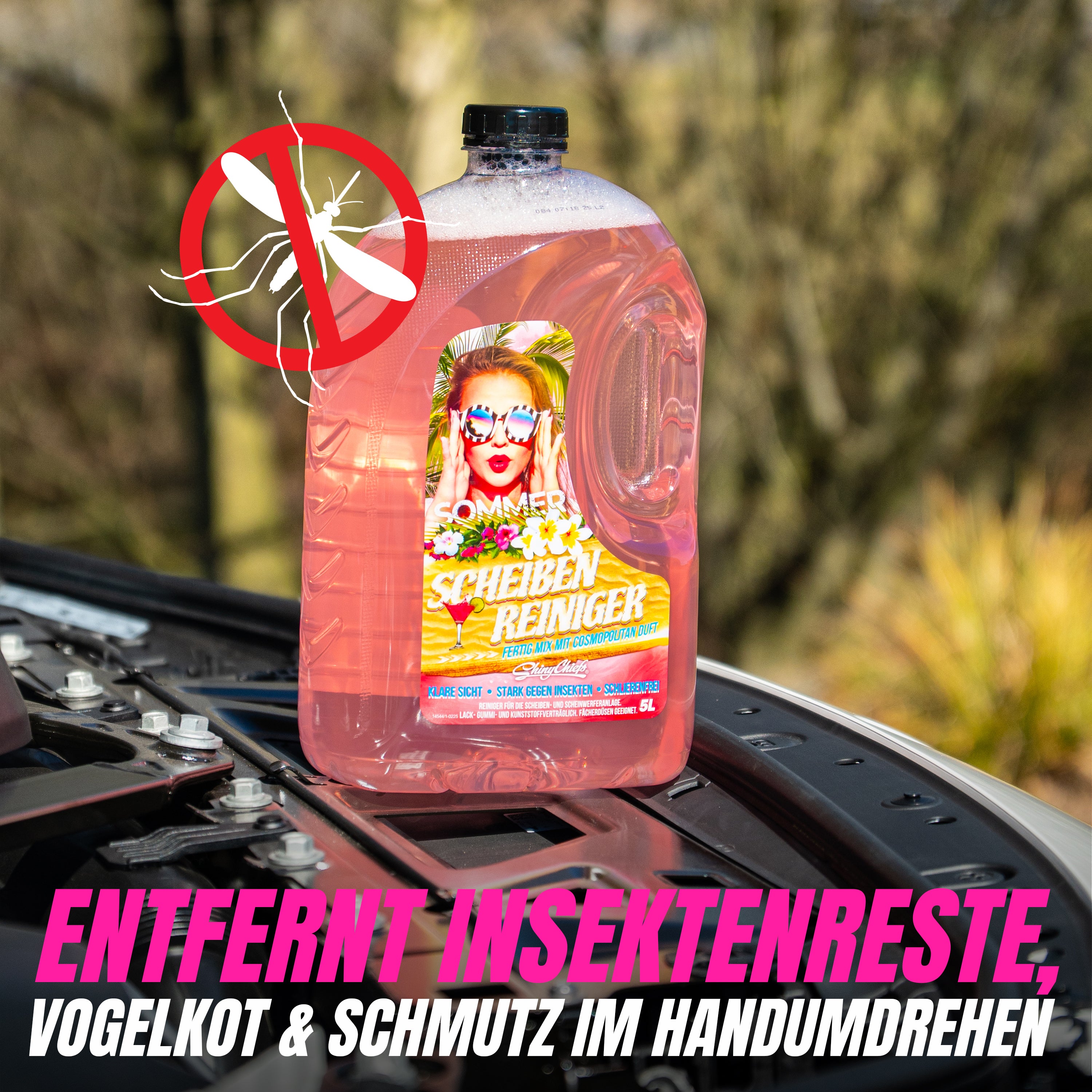 SOMMER - SCHEIBENKLAR COSMOPOLITAN 5L