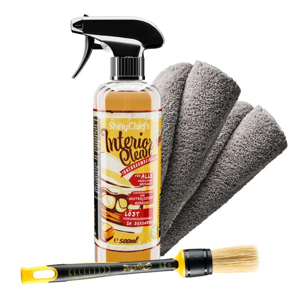 INTERIOR CLEAN WINTER EDITION - INNENRAUMREINIGER 500ml + DETAIL BRUSH - ULTRA SOFT PINSEL SET